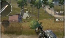 和平精英趣味爆料视频在线观看,揭秘游戏幕后趣闻，在线观看笑翻天！